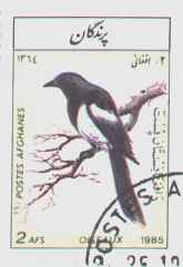 Briefmarke mit einer Elster