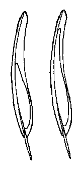 äußere Handschwingen, links juvenil, rechts adult